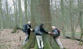 Trail Walking La Hulpe - RB-Bw-12 - Forêt et campagnes au sud de Bruxelles - Photo 3