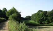 Trail Walking Musson - Willancourt - Natura 2000, des sites qui valent le détour - Lx13 - Photo 2
