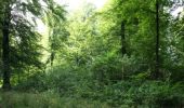 Tocht Stappen Musson - Willancourt - Natura 2000, des sites qui valent le détour - Lx13 - Photo 3