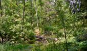 Trail Walking Sainte-Ode - Amberloup, Natura 2000 - Des sites qui valent le détour. Lx11 - Photo 3