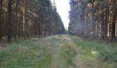 Trail Walking Manhay - Odeigne, Natura 2000 - Des sites qui valent le détour. Lx10 - Photo 3