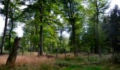 Trail Walking Manhay - Odeigne, Natura 2000 - Des sites qui valent le détour. Lx10 - Photo 4