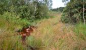 Trail Walking Manhay - Odeigne, Natura 2000 - Des sites qui valent le détour. Lx10 - Photo 2