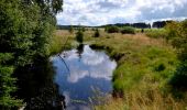 Trail Walking Waimes - Sourbrodt - Circuit Natura 2000, des sites qui valent le détour - Lg11 - Photo 7