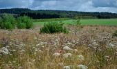 Trail Walking Waimes - Sourbrodt - Circuit Natura 2000, des sites qui valent le détour - Lg11 - Photo 13