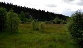 Trail Walking Waimes - Sourbrodt - Circuit Natura 2000, des sites qui valent le détour - Lg11 - Photo 4