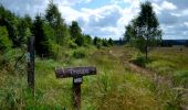 Percorso Marcia Waimes - Sourbrodt - Circuit Natura 2000, des sites qui valent le détour - Lg11 - Photo 2