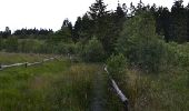 Trail Walking Waimes - Sourbrodt - Circuit Natura 2000, des sites qui valent le détour - Lg11 - Photo 3