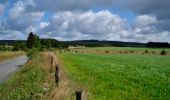 Trail Walking Waimes - Sourbrodt - Circuit Natura 2000, des sites qui valent le détour - Lg11 - Photo 11