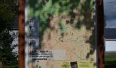 Tour Wandern Weismes - Sourbrodt - Circuit Natura 2000, des sites qui valent le détour - Lg11 - Photo 15