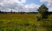 Trail Walking Waimes - Sourbrodt - Circuit Natura 2000, des sites qui valent le détour - Lg11 - Photo 1