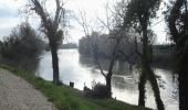 Tour Wandern Arles - arles st Gilles - Photo 3