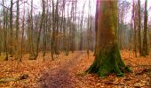 Trail Walking Longpont - en forêt de Retz_16_Longpont_carrefour du Chapeau des Cordeliers_AR - Photo 17