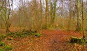 Trail Walking Longpont - en forêt de Retz_16_Longpont_carrefour du Chapeau des Cordeliers_AR - Photo 18