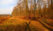 Trail Walking Longpont - en forêt de Retz_17_Longpont_etangs de la Ramee_AR - Photo 18