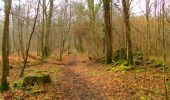 Trail Walking Longpont - en forêt de Retz_17_Longpont_etangs de la Ramee_AR - Photo 16
