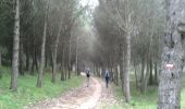 Trail Walking Villetelle - Villetelle - Vendargues - Photo 8