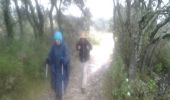Trail Walking Villetelle - Villetelle - Vendargues - Photo 3