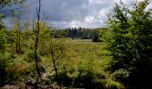 Trail Walking Eupen - Ternell - Circuit Natura 2000, des sites qui valent le détour - Lg12 - Photo 10