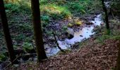 Trail Walking Stoumont - Lorcé, Natura 2000 - Des sites qui valent le détour, Lg13 - Photo 10