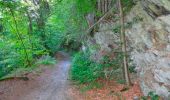 Trail Walking Stoumont - Lorcé, Natura 2000 - Des sites qui valent le détour, Lg13 - Photo 5