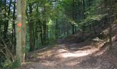 Tour Wandern Stoumont - Lorcé, Natura 2000 - Des sites qui valent le détour, Lg13 - Photo 8