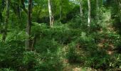 Trail Walking Huy - Huy Ben-Ahin. Natura 2000 des sites qui valent le détour ! Lg9 - Photo 12