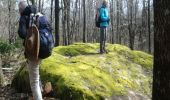 Trail Walking Joncels - Joncels - Le Bousquet d'Orb - Photo 14