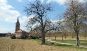 Randonnée Marche Molsheim - Les Chapelles entre vignoble et canal - Photo 1