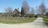 Randonnée Marche Molsheim - Les Chapelles entre vignoble et canal - Photo 11