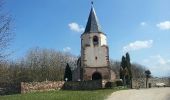 Excursión Senderismo Molsheim - Les Chapelles entre vignoble et canal - Photo 8
