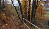 Trail Walking Rochefort - Nature - The Eprave resurgence - Rochefort - Photo 13