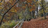Randonnée Marche Rochefort - Nature : Promenade de la Résurgence d'Eprave - Rochefort - Photo 15