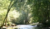 Tocht Stappen Rochefort - Natuur : Belvaux -Les Rouges-Gorges (de roodborstjes) - Photo 4