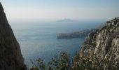 Trail Walking Marseille - calanques 31 mars 2013 - Photo 13