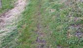 Trail Walking Blegny - mortier - Photo 1