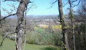 Trail Walking Castres - Castres  - Dourgne - Photo 14