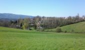 Trail Walking Castres - Castres  - Dourgne - Photo 13