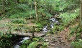 Tour Wandern Hohwald - petit tour au hohwald route, cascade et chemin forestier - Photo 3