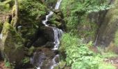 Excursión Senderismo Le Hohwald - petit tour au hohwald route, cascade et chemin forestier - Photo 1