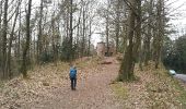 Trail Walking Saverne - Les châteaux dominant Saverne - Photo 19