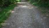 Trail Walking Sainte-Ode - Boucle - Forêts et plateaux- Tronçon 3 - Rechimont - Gives - Photo 3