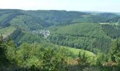 Trail Walking Houffalize - Boucle - Forêts et plateaux - Tronçon 5 - Nadrin - La Roche-en-Ardenne - Photo 4