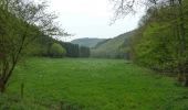 Trail Walking Kiischpelt - Boucle - Les paysages cachés - Tronçon 1 Kautenbach - Wiltz - Photo 7