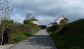 Trail Walking Kiischpelt - Boucle - Les paysages cachés - Tronçon 1 Kautenbach - Wiltz - Photo 8