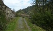 Randonnée Marche Houffalize - Boucle Du Plateau des Tailles à Bernistap - Tronçon 1 Houffalize - Les Tailles - Photo 8