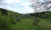 Trail Walking Wiltz - Boucle Les paysages cachés - Tronçon 2 - Wiltz - Derenbach - Photo 9