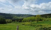 Trail Walking Wiltz - Boucle Les paysages cachés - Tronçon 2 - Wiltz - Derenbach - Photo 7
