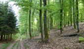 Trail Walking Wincrange - Boucle Les paysages cachés - Tronçon 3 - Derenbach - Clervaux - Photo 2