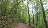 Trail Walking Wincrange - Boucle Les paysages cachés - Tronçon 3 - Derenbach - Clervaux - Photo 5